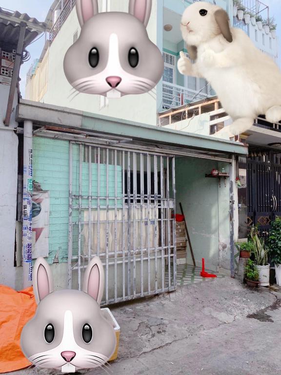 Nhà cấp 4,,,39m2 (3,1x18) Song Hành Q12 ,sát Galaxy Trung Chánh ,hxh thông, 3 tỷ nhỉnh 0932030061