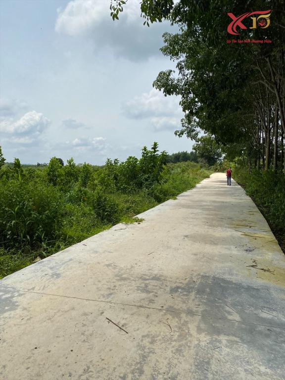 Bán vườn cây ăn trái view hồ tại xã suối nho, huyện Định Quán Đồng Nai 