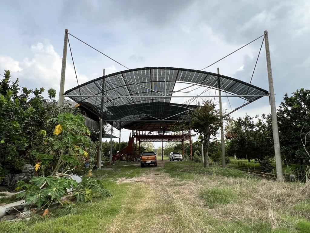 Bán Trang Trại Bưởi Da Xanh 8ha Tại Châu Thành TÂY NINH