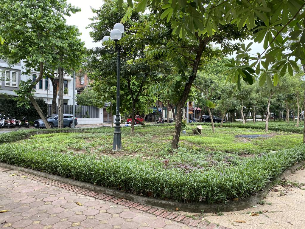 z4447547009904_f4327c65d584560719f014e26111d9ec-1687495221.jpg