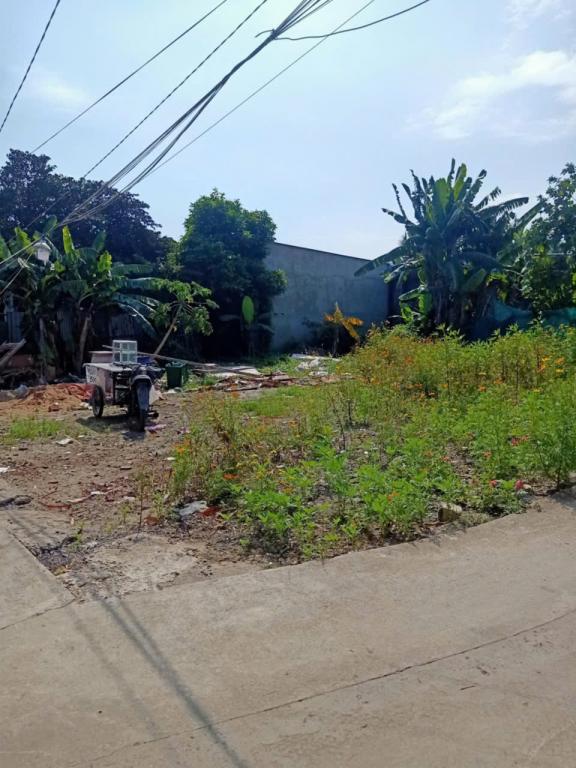 Quá rẻ lô đất 313m, ngang 16m, lô góc, ra mặt tiền đường, Trường Thạnh, Thủ Đức, chỉ 7,59 tỷ.