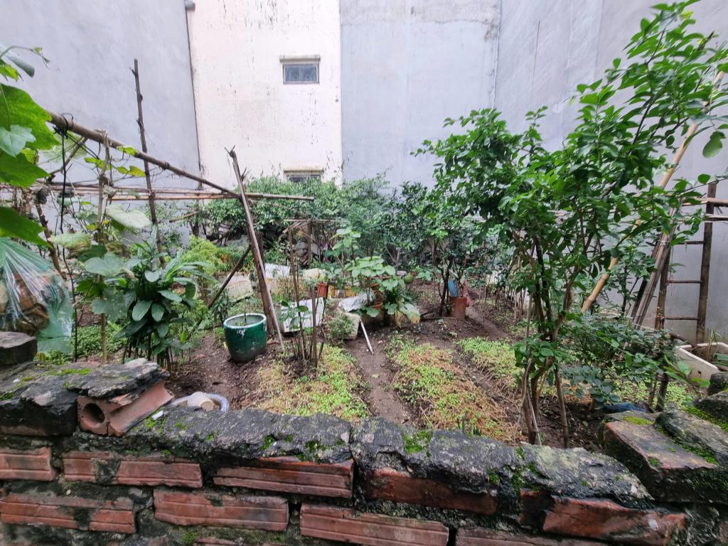 Phân lô phố Lê Trọng Tấn 92m2 mặt tiền 8.5m hậu 8.76m giá 21 tỷ VIP Thanh Xuân